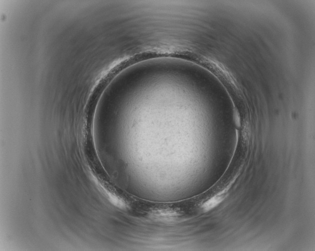 X0000087590540200705041511