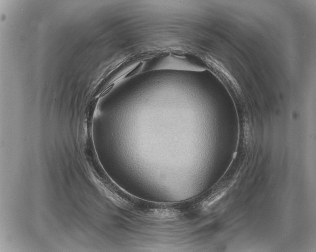 X0000087590541200705041511