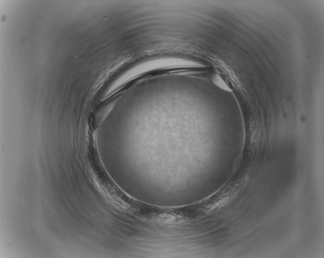 X0000087590542200705041511