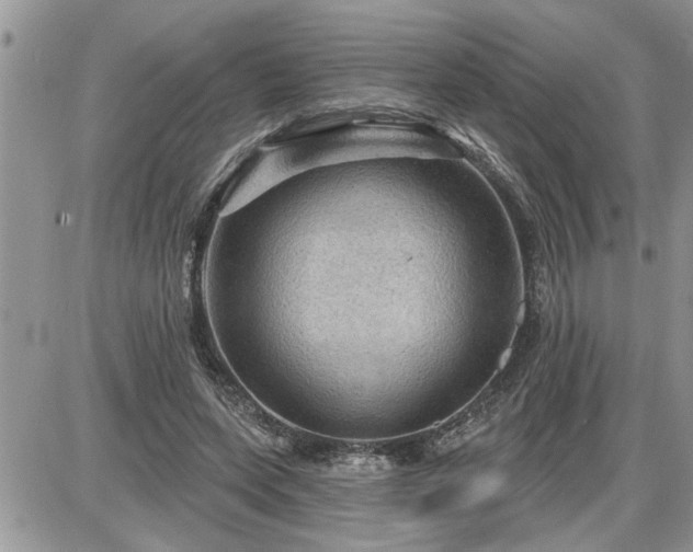 X0000087590543200705041511