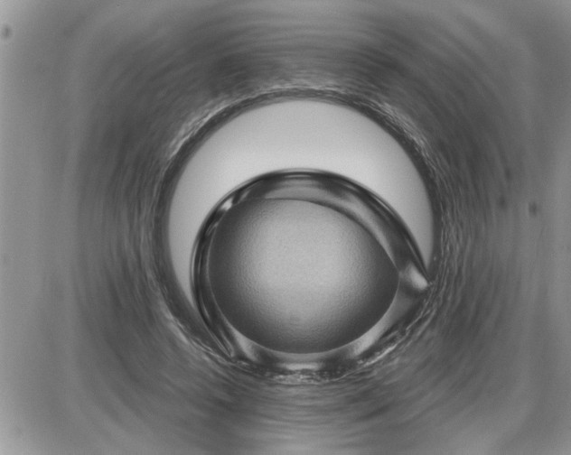 X0000087590544200705041511