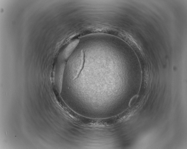 X0000087590545200705041511