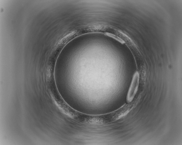 X0000087590546200705041511