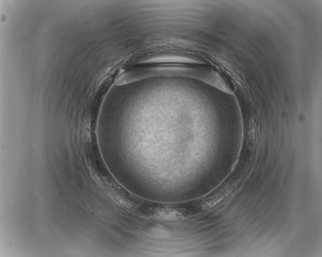 X0000087590547200705041511