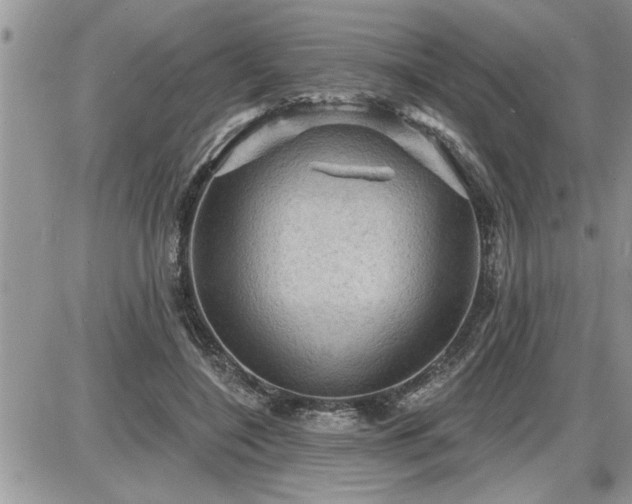 X0000087590548200705041511