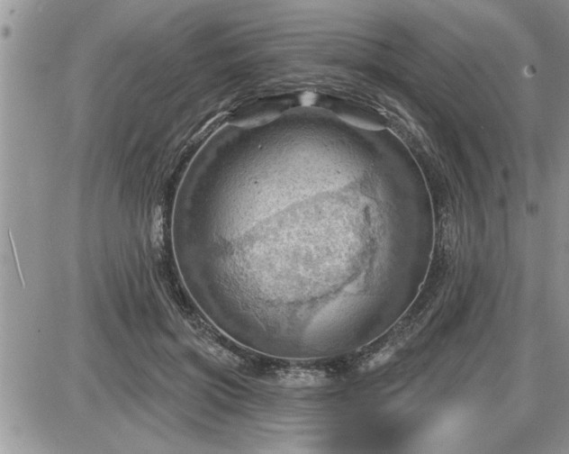 X0000087590549200705041511