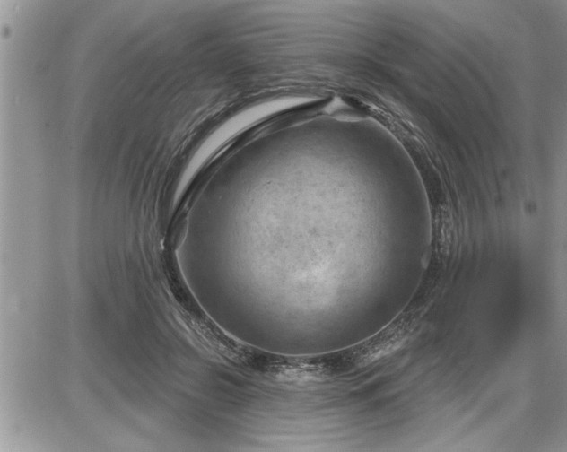 X0000087590550200705041511