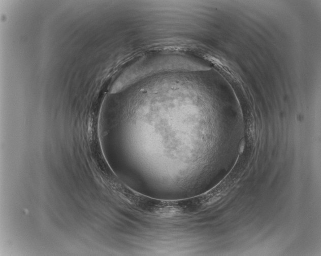 X0000087590551200705041511