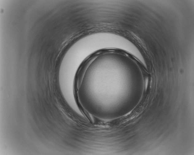 X0000087590552200705041511