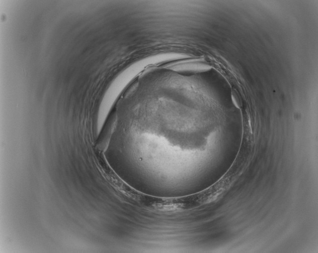 X0000087590553200705041511