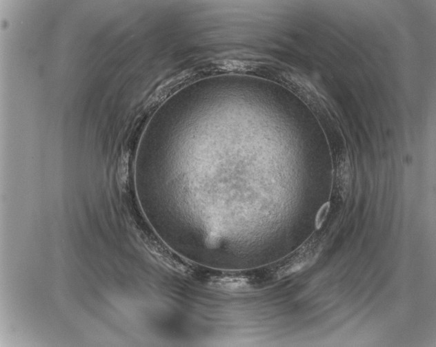 X0000087590554200705041512