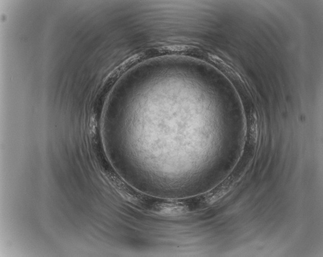 X0000087590555200705041512