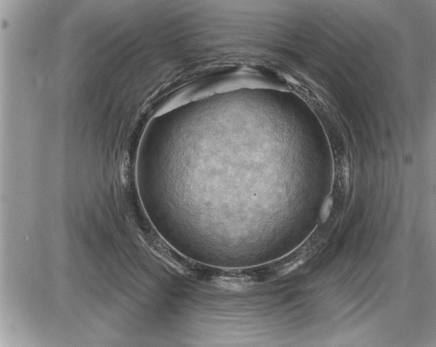 X0000087590556200705041512