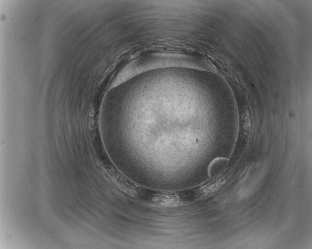 X0000087590559200705041512