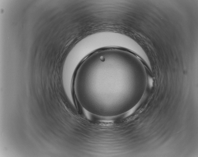 X0000087590560200705041512