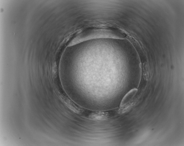 X0000087590563200705041512