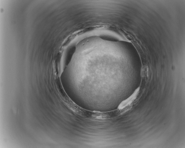 X0000087590564200705041512