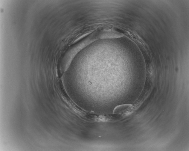 X0000087590565200705041512