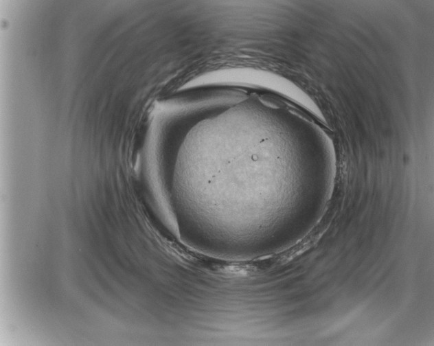 X0000087590566200705041512