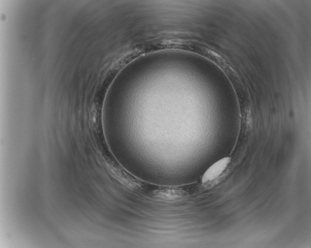 X0000087590567200705041512