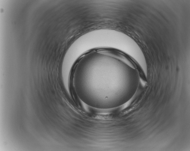 X0000087590568200705041512