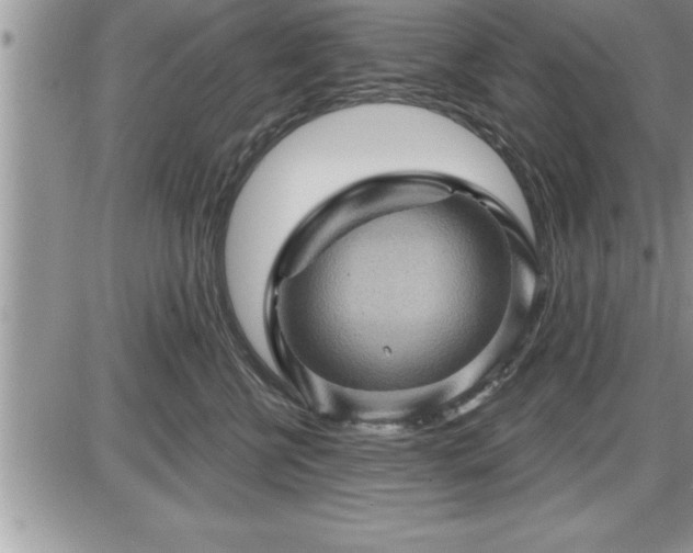 X0000087590570200705041512