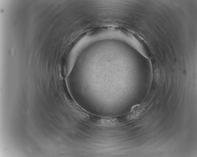 X0000087590571200705041512