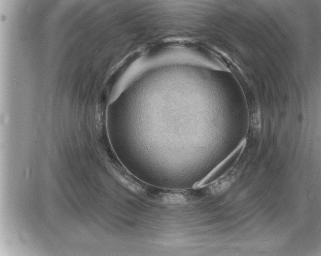 X0000087590572200705041512