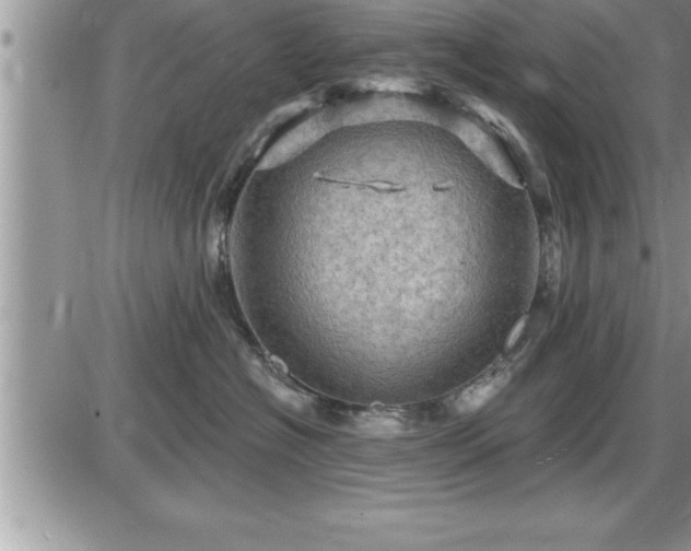 X0000087590574200705041512