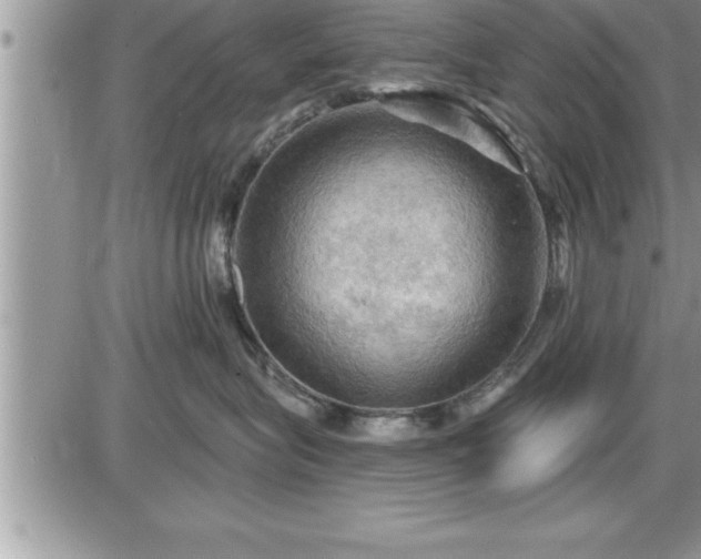 X0000087590575200705041512