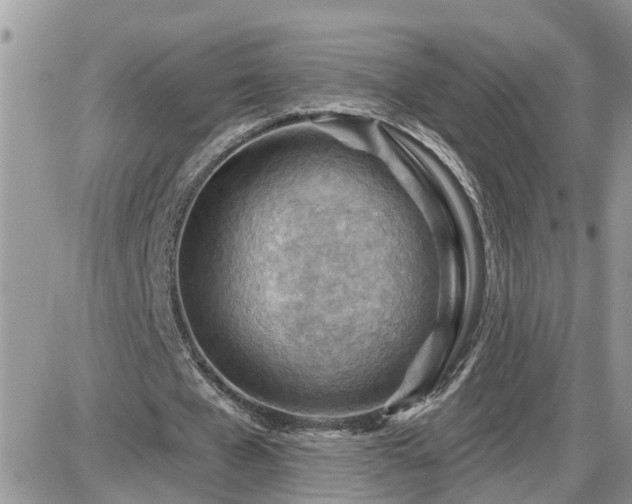 X0000087590577200705041511