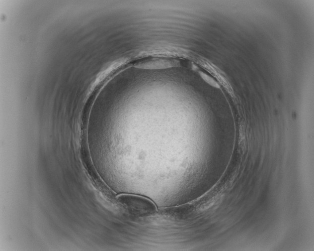 X0000087590578200705041511