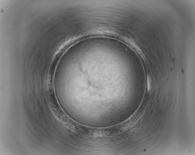 X0000087590579200705041511