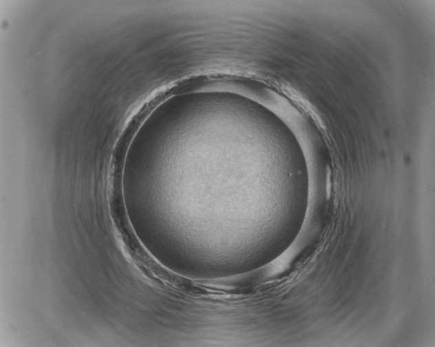 X0000087590580200705041511