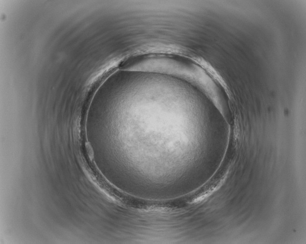 X0000087590581200705041511