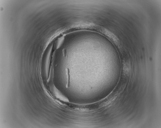 X0000087590582200705041511