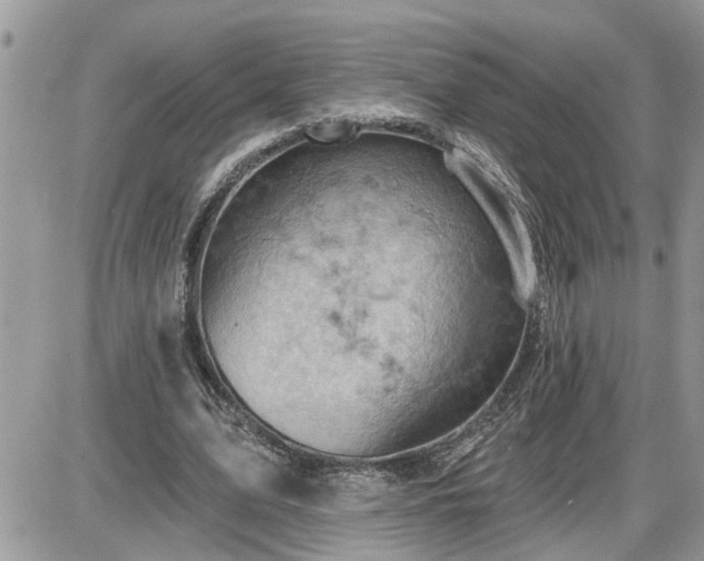 X0000087590583200705041511