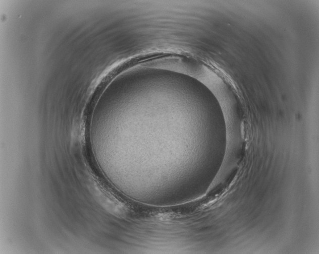 X0000087590584200705041511