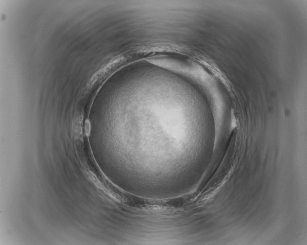 X0000087590585200705041511