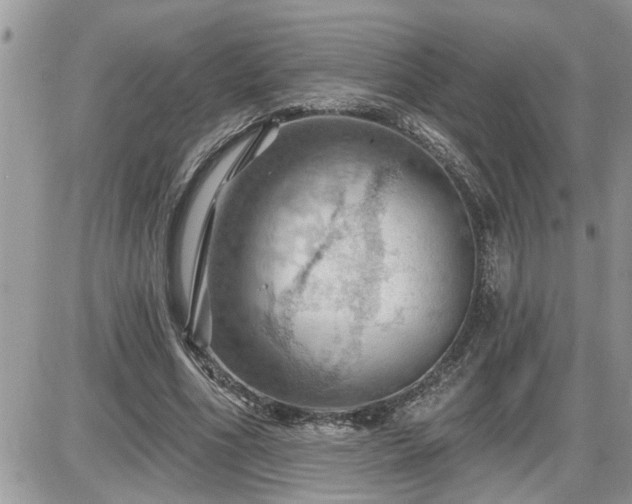 X0000087590586200705041511