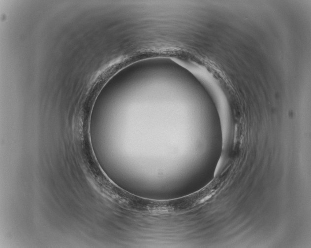 X0000087590587200705041511