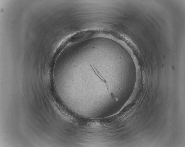 X0000087590588200705041511