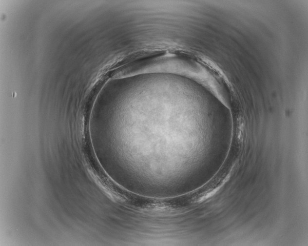 X0000087590589200705041511