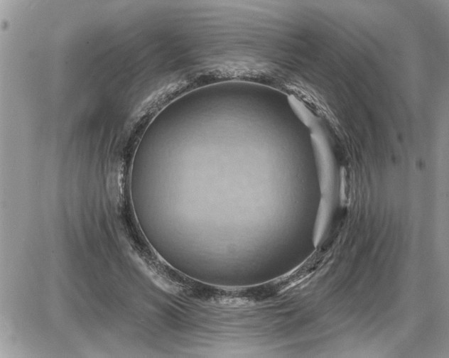 X0000087590590200705041511