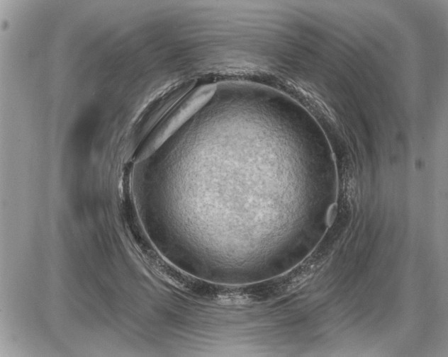 X0000087590591200705041511