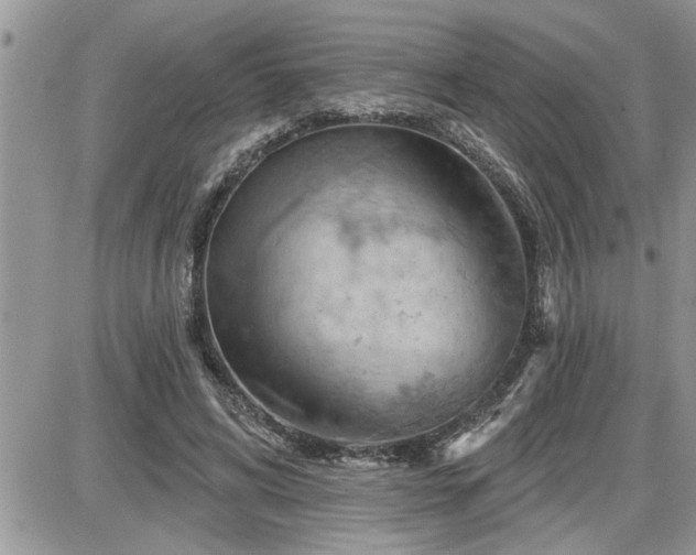 X0000087590592200705041511