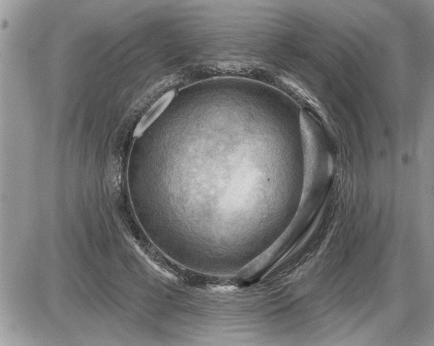 X0000087590593200705041511