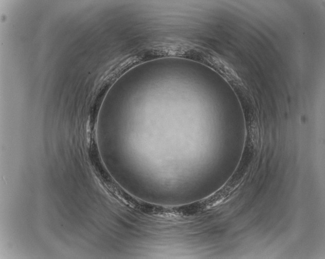 X0000087590594200705041511