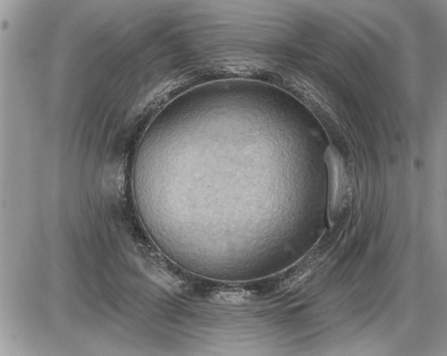 X0000087590595200705041511