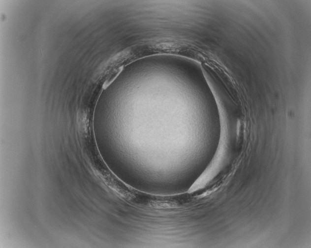 X0000087590597200705041511